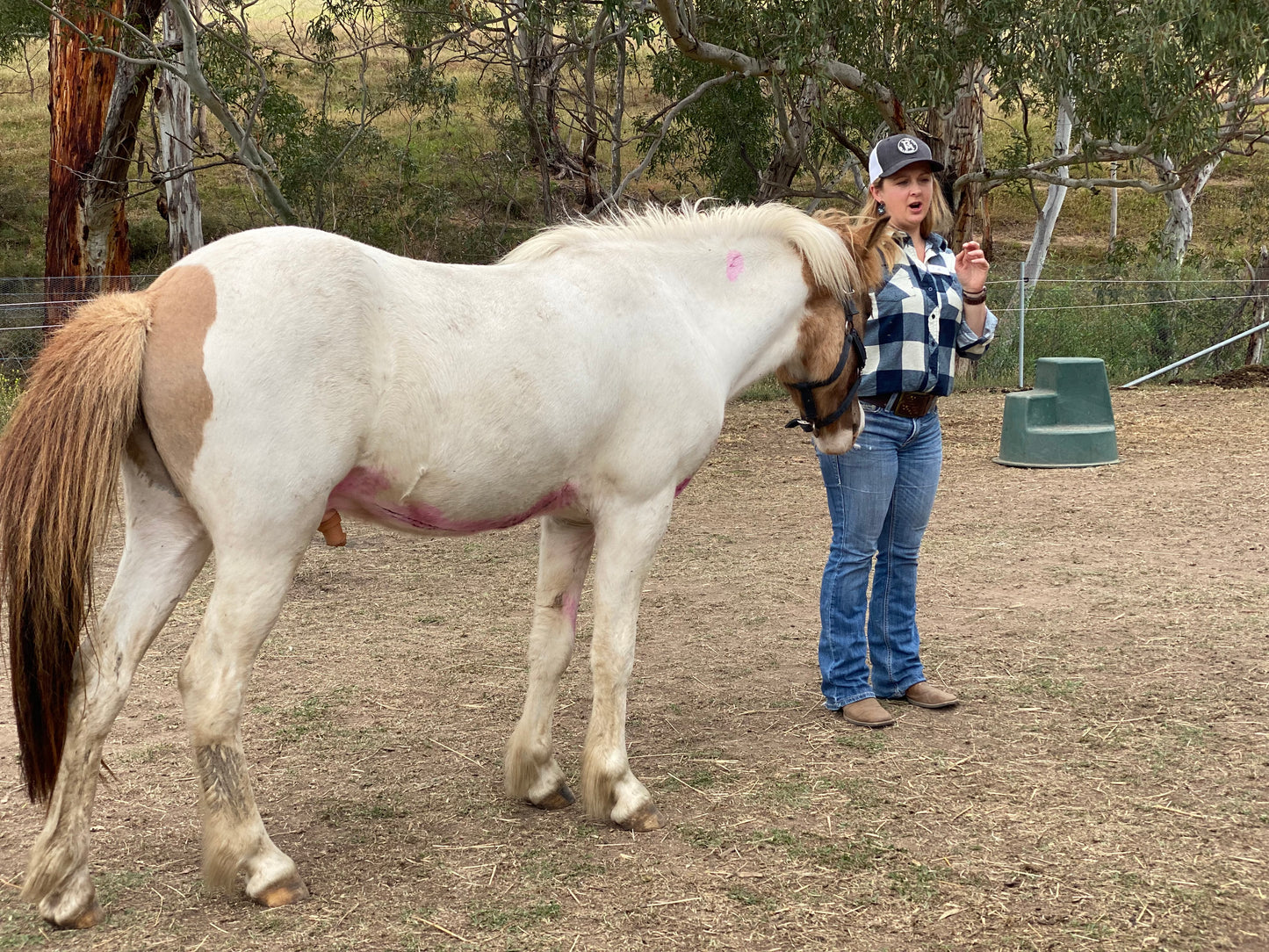Intensive Drum & Equine Experiences Spring Workshop - 2025