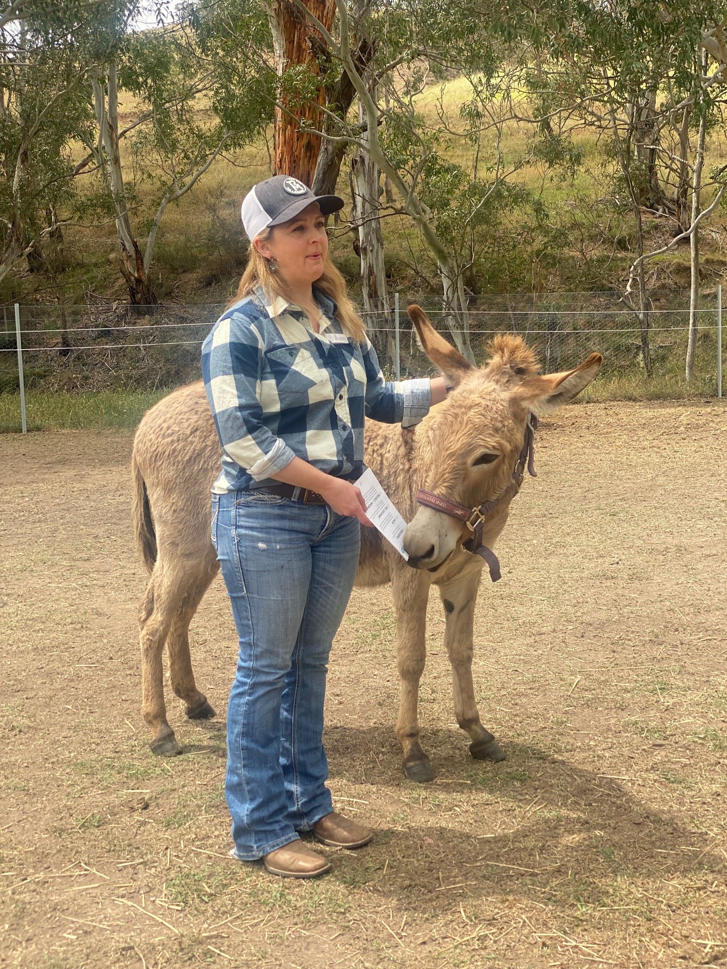 Intensive Drum & Equine Experiences Spring Workshop - 2025