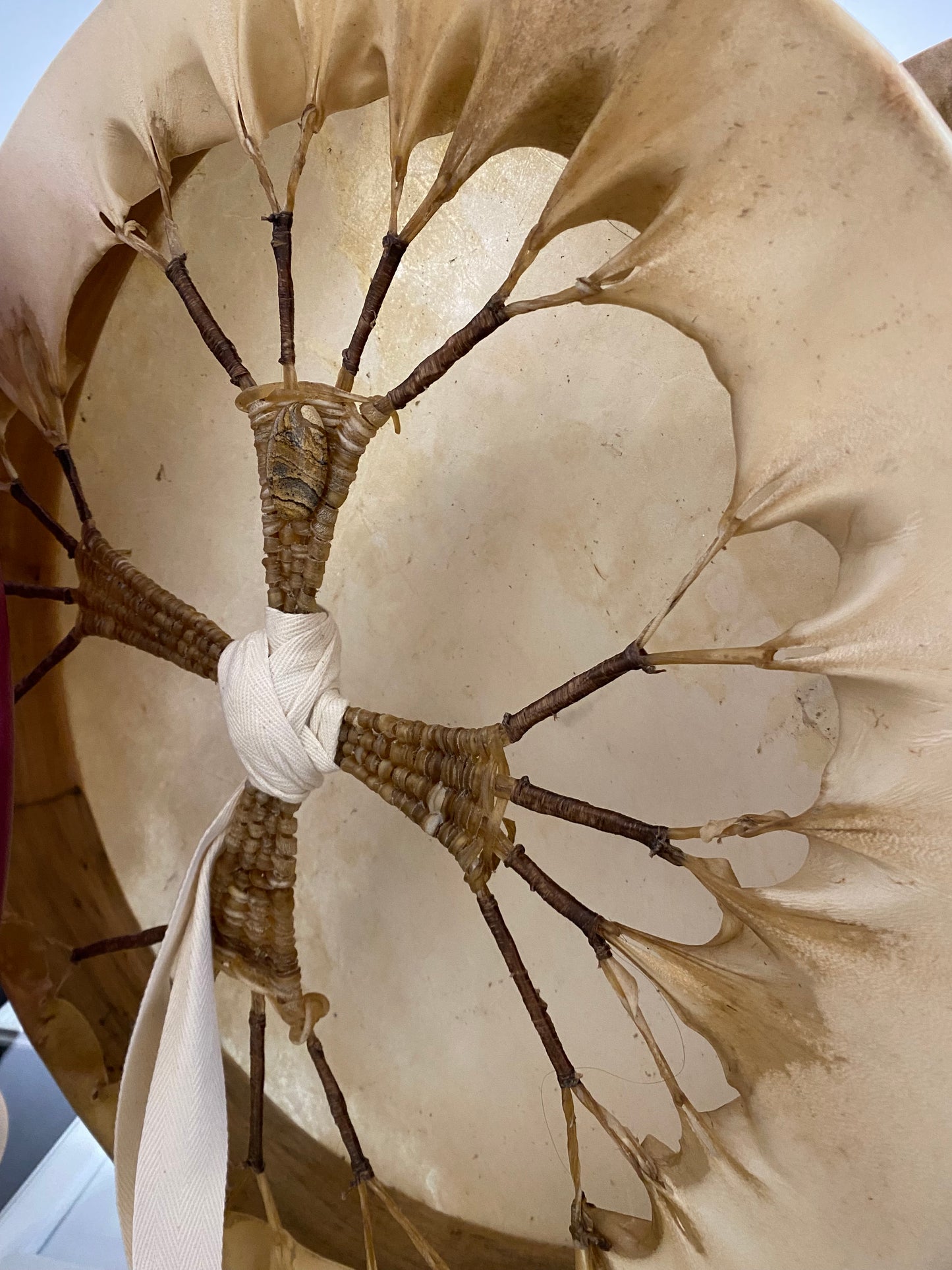 HAND DRUMS by TRANSFORMATIVE WOMENS JOURNEYS