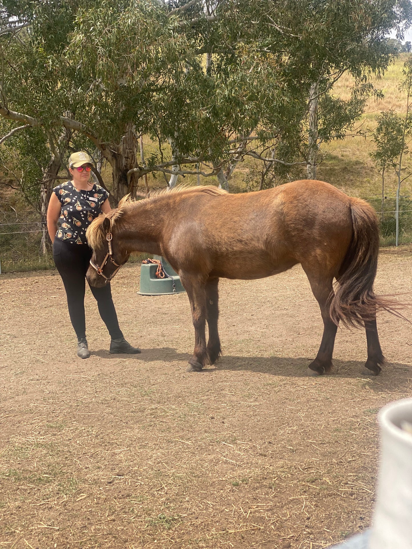Intensive Drum & Equine Experiences Spring Workshop - 2025