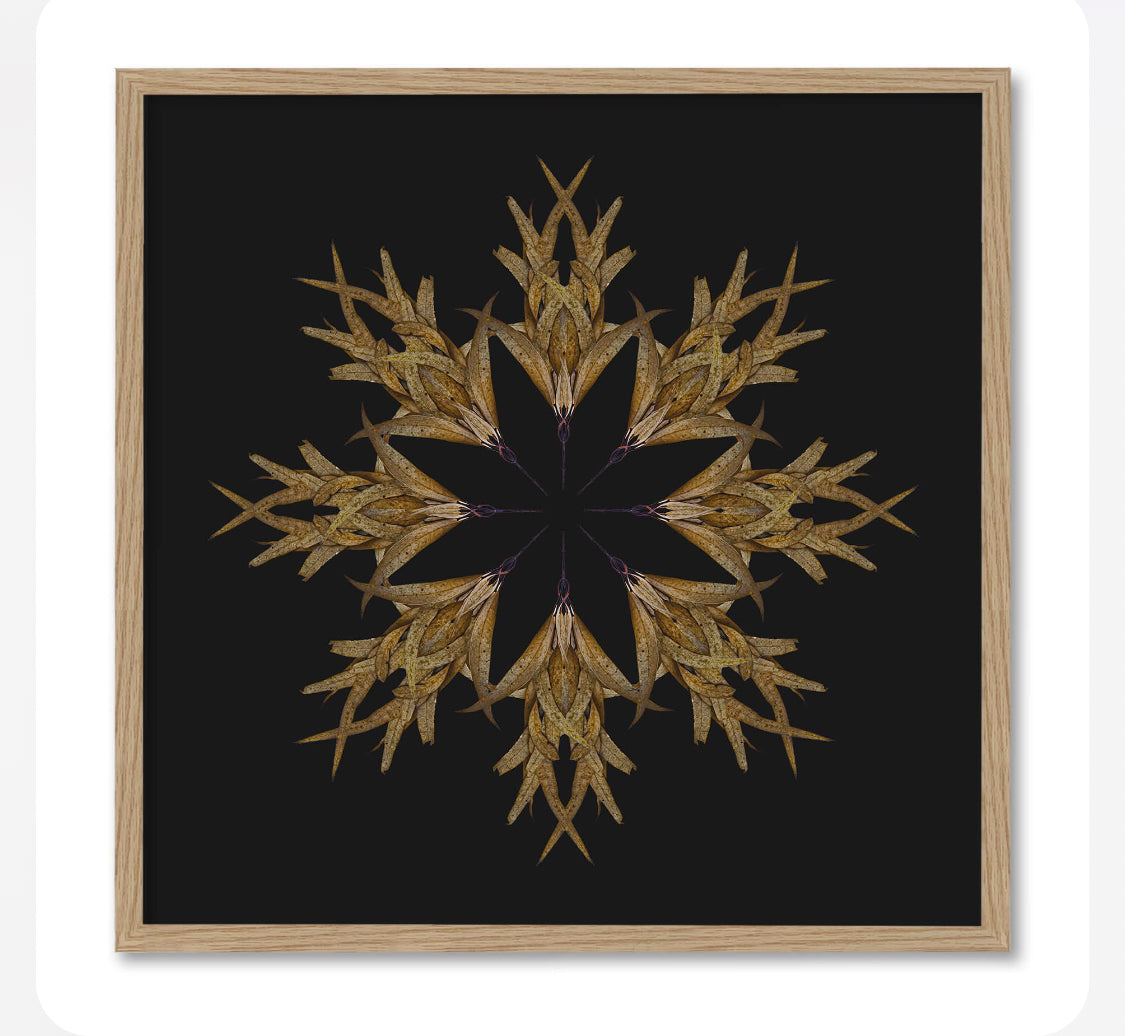 PHOTOGRAPHY by NICOLE LANDGREBE