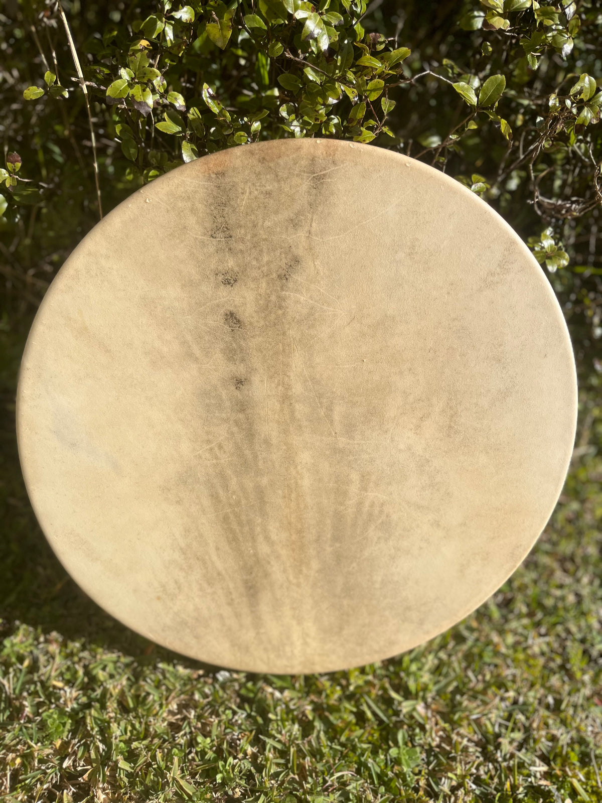 HAND DRUMS by TRANSFORMATIVE WOMENS JOURNEYS