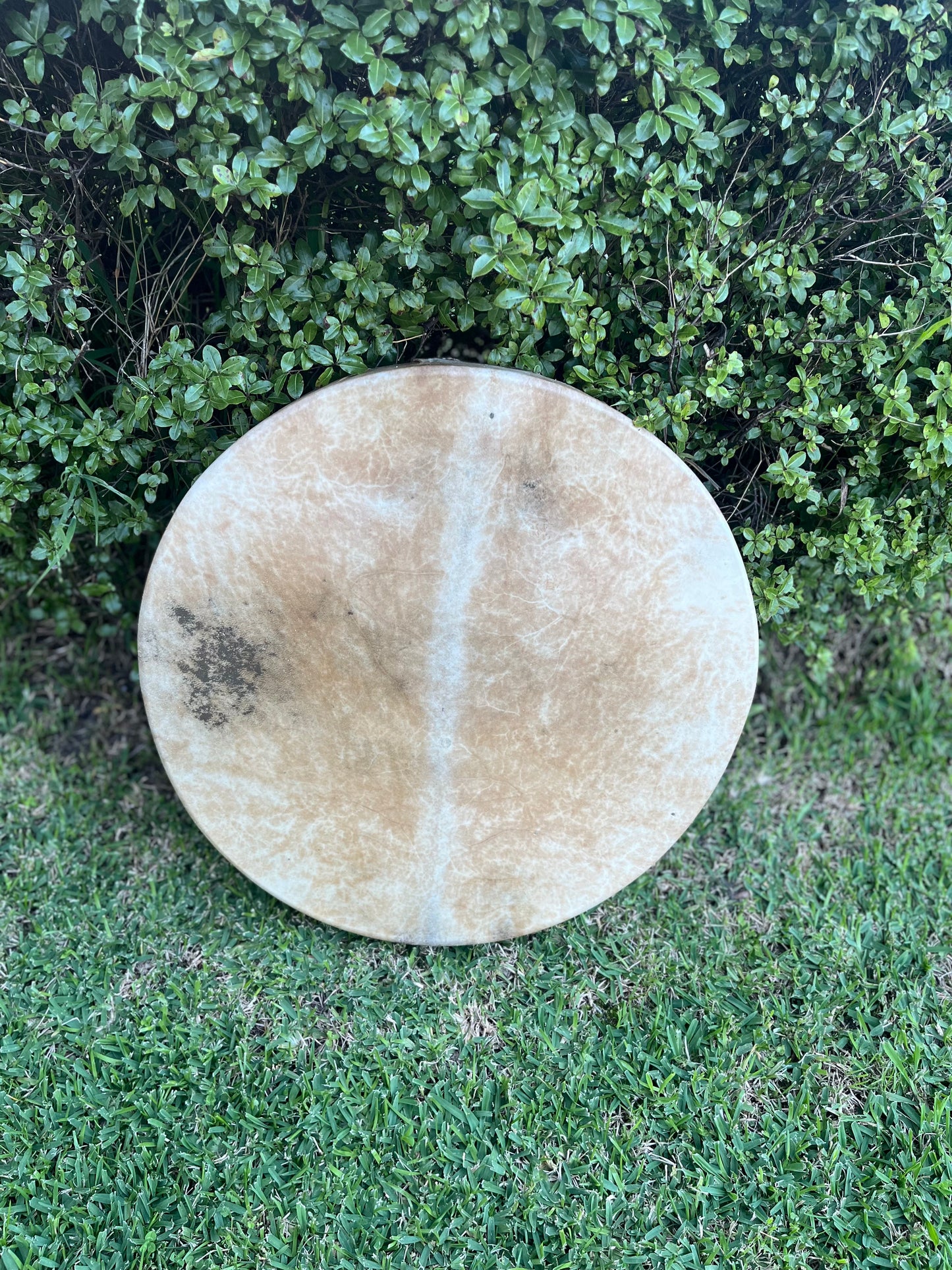 HAND DRUMS by TRANSFORMATIVE WOMENS JOURNEYS